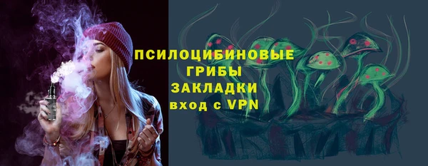 ешки Белокуриха