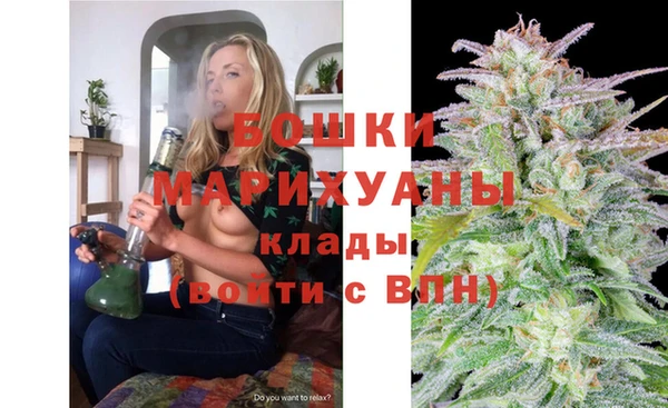 шишки Пролетарск