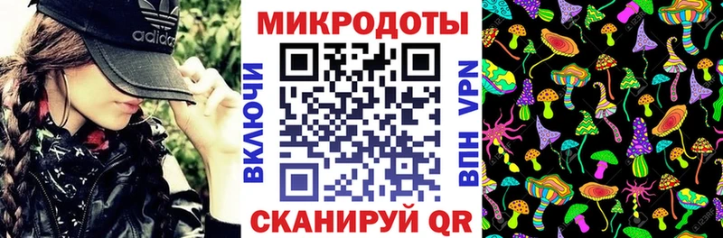 Псилоцибиновые грибы Psilocybine cubensis  Константиновск 