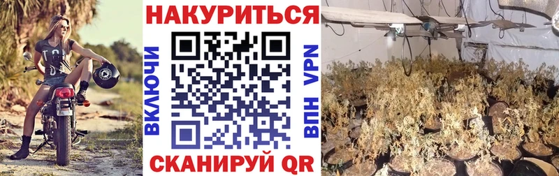 продажа наркотиков  кракен ТОР  Шишки марихуана THC 21%  Константиновск 